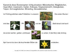 Lückentext-Blumen.pdf